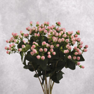 Hypericum Berries Pink 10 stem bunches