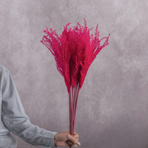 Miscanthus Hot Pink 5 stems per bunch