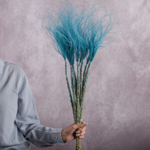Stipa Light Blue 5 stems per bunch