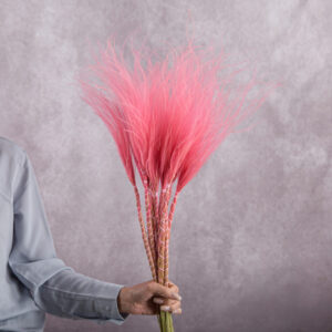 Stipa Pink 5 stems per bunch