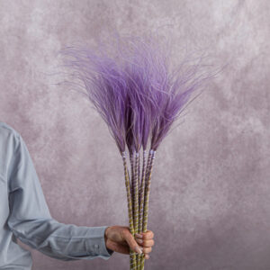 Stipa Lavender 5 stems per bunch