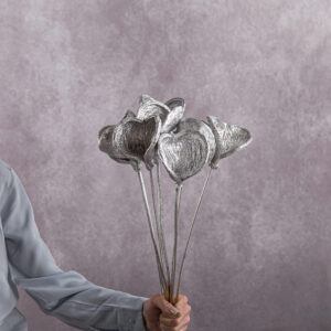 Silver Seed Pods 5 stem bunches