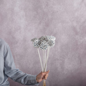 Stick Nelumbo White 5 stems per bunch