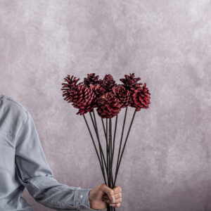 Burgundy Pine cones 5 stem bunches