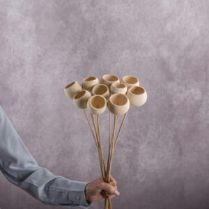 Bellcups Cream 5 stems per bunch