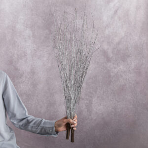 Betula Branches Silver 10 stems per bunch