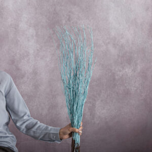 Betula Branches Light Blue 10 stems per bunch