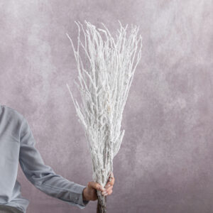 Betula Branches White 10 stems per bunch