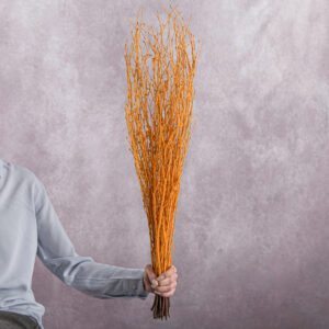 Betula Branches Bright Orange 10 stems per bunch