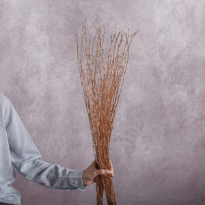 Betula Branches Natural 10 stems per bunch