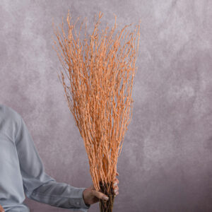 Betula Branches Salmon 10 stems per bunch