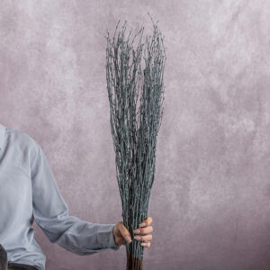 Betula Branches Grey 10 stems per bunch