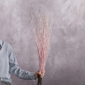 Betula Branches Pink 10 stems per bunch