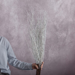 Betula Branches White 10 stems per bunch