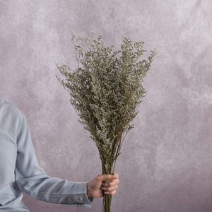 Limonium Dry Grey 3 stems per bunch