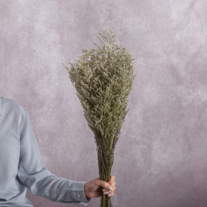Limonium Dry White 3 stem bunches