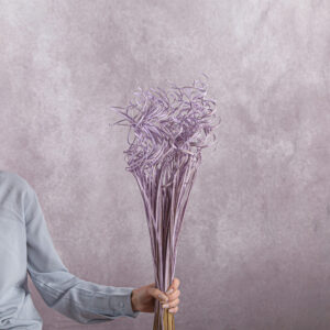 Ting Ting Curly Lavender sold by the bunch