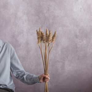 Stick Cane Cone Brown 5 stems per bunch