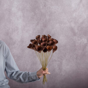 Wood Cones Brown 5 stems per bunch