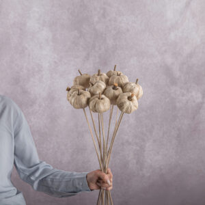 Pumpkins White 5 stems per bunch