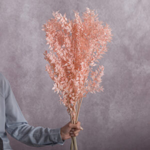 Ruscus Preserved Light Pink 5 stems per bunch