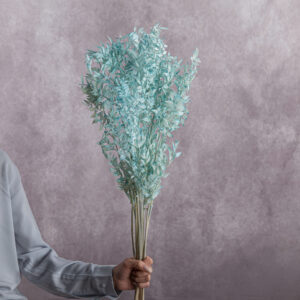 Ruscus Preserved Light Blue 5 stems per bunch