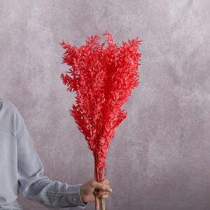 Ruscus Preserved Red 5 stems per bunch