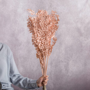 Ruscus Preserved Peach 5 stems per bunch