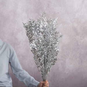 Ruscus Preserved Silver 5 stems per bunch