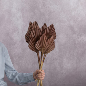 Spear Palm Dried Brown 5 stems per bunch