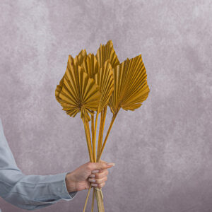 Spear Palm Dried Yellow 5 stems per bunch