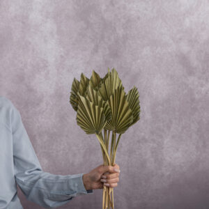 Spear Palm Dried Green 5 stems per bunch