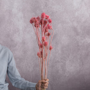 Cardo Pink 3 stems per bunch