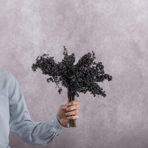Schinus Black 5 stems per bunch