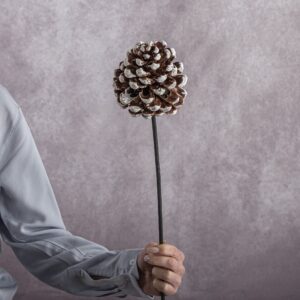 Pine Cone Large White sold by the stem