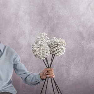 Pine Cones Medium All White 3 stems per bunch