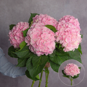 Hydrangea Pink Large per stem
