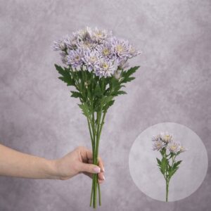 Chrysanthemums Light Blue Flat 5 stems per bunch