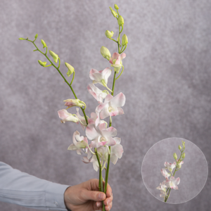 Dendrobium Orchids Light Pink 2 stems per bunch