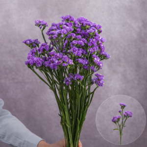 Statice Lavender 10 stems per bunch