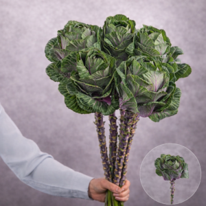 Cabbage Purple Ornamental 5 stems per bunch