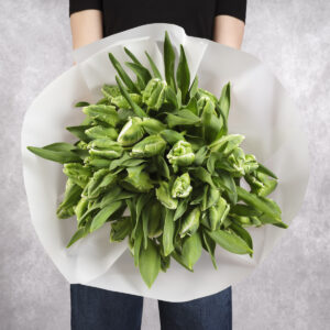 White/Green Parrot Tulips Bouquet 50 stems