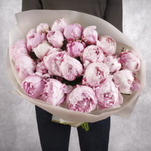 Light Pink Peony Bouquet 25 stems
