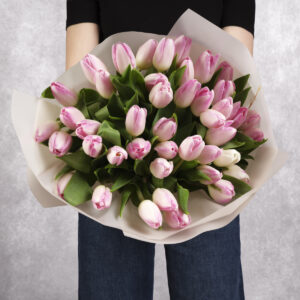 Light Pink Tulips Bouquet 50 stems