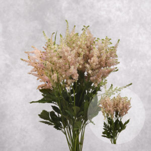 Astilbe Bluish 10 stems per bunch