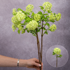 Vibernum Green 3 stems per bunch