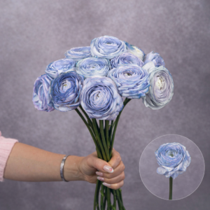 Rannunculas Blue 5 stems per bunch