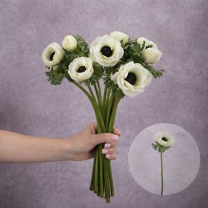 Anemones White Short 10 stems per bunch