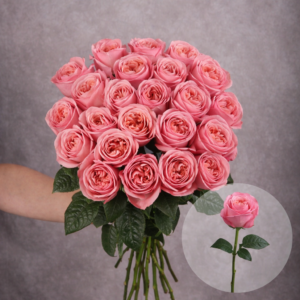 Roses Pink Expression 6 stems per bunch