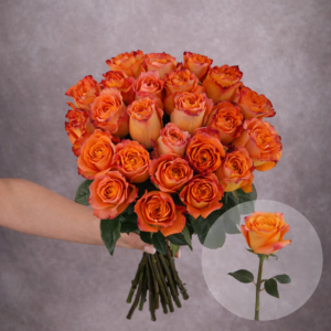 Roses Orange Free Spirit 6 stems per bunch